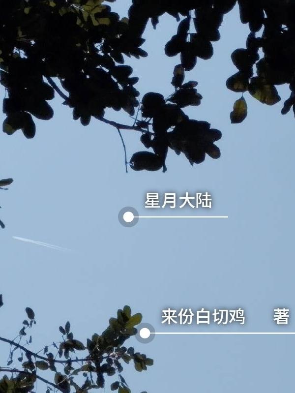 星月大厦南京