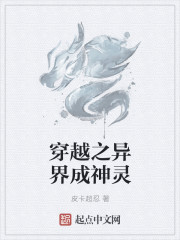 穿越之异界大法师小说